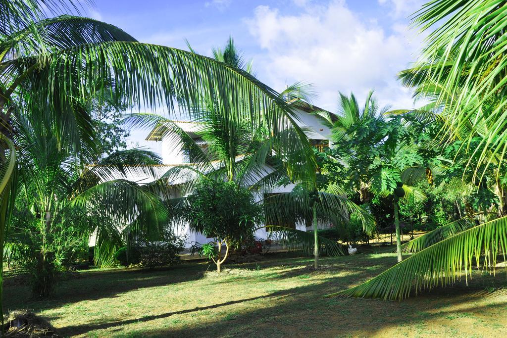 Coconut Garden House Hotel Udawalawe Buitenkant foto