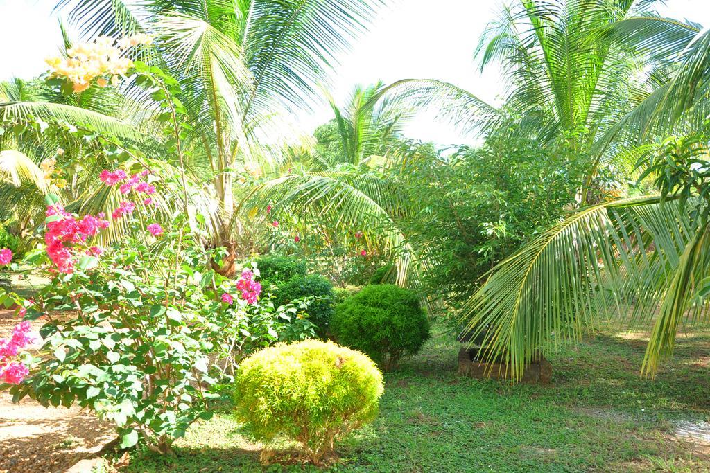 Coconut Garden House Hotel Udawalawe Buitenkant foto