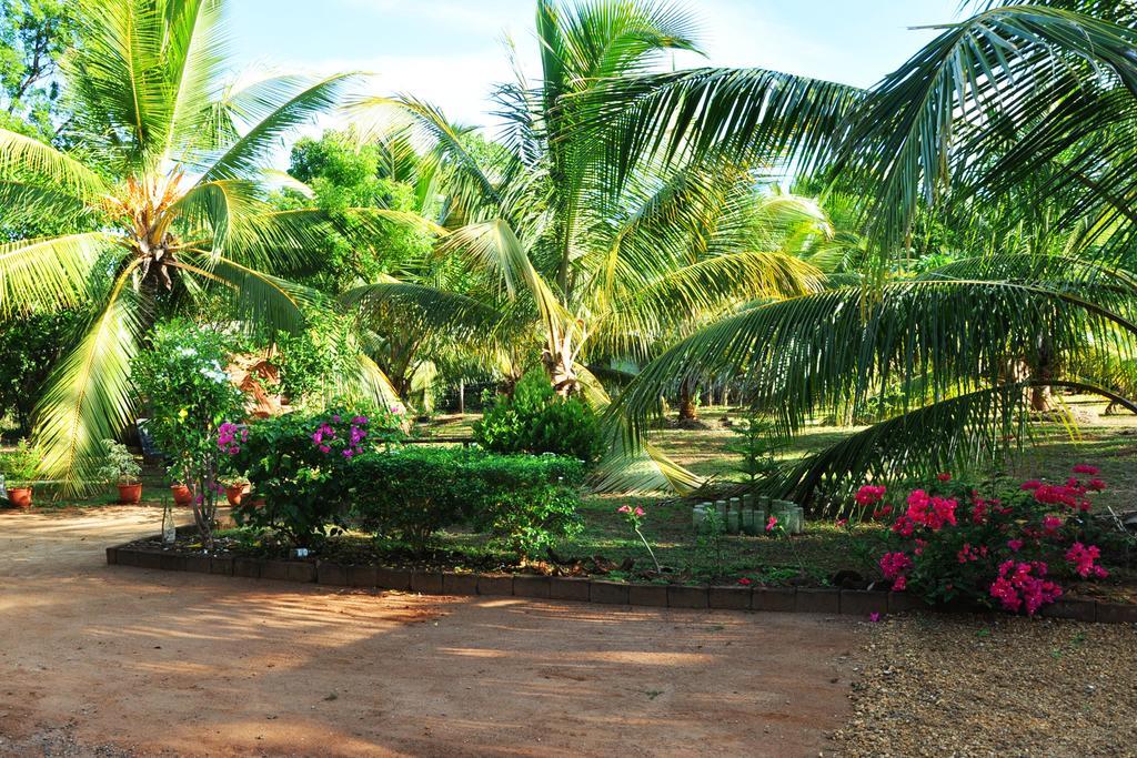Coconut Garden House Hotel Udawalawe Buitenkant foto