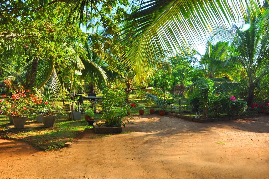 Coconut Garden House Hotel Udawalawe Buitenkant foto