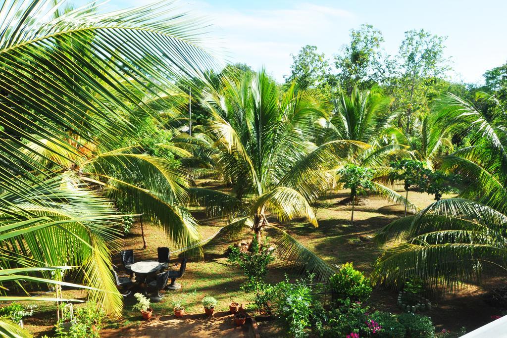 Coconut Garden House Hotel Udawalawe Buitenkant foto